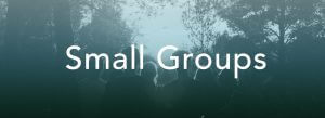 smallgroupspage